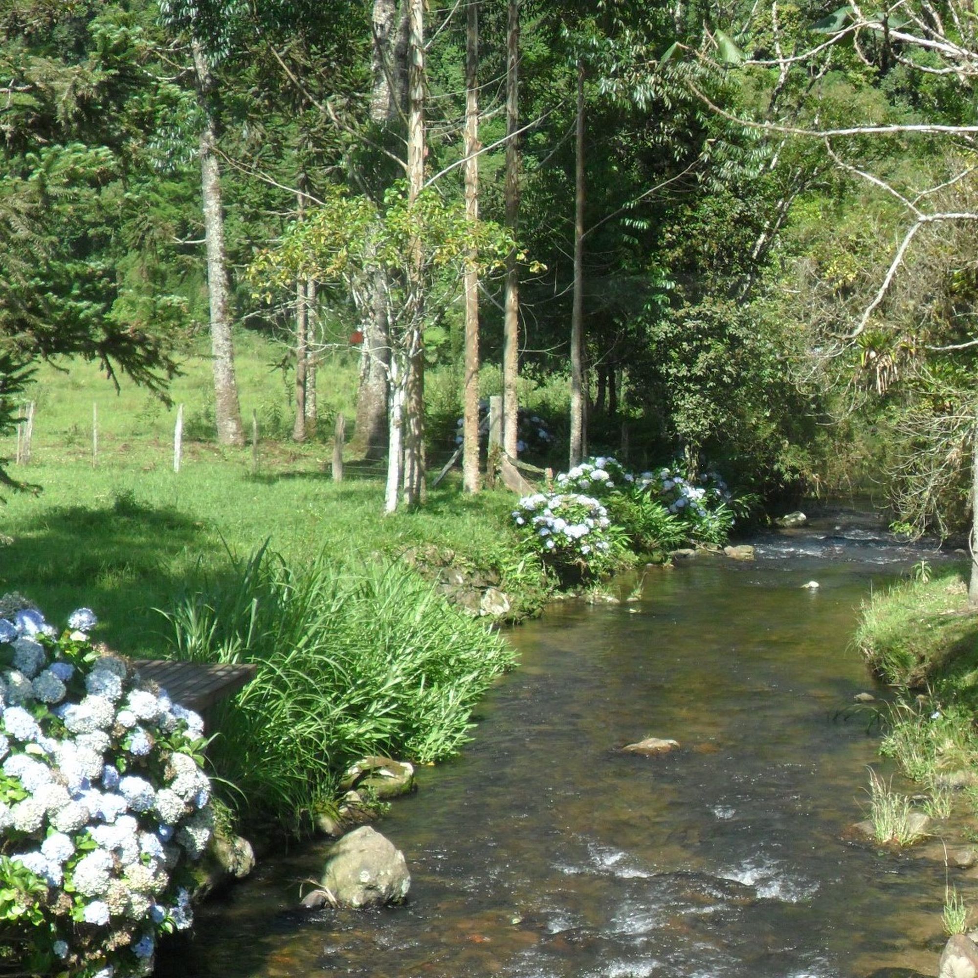 Nosso planeta é um lugar especial - eloir.aotoe.com